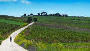 Campagne tra Agrigento e TRatpani
